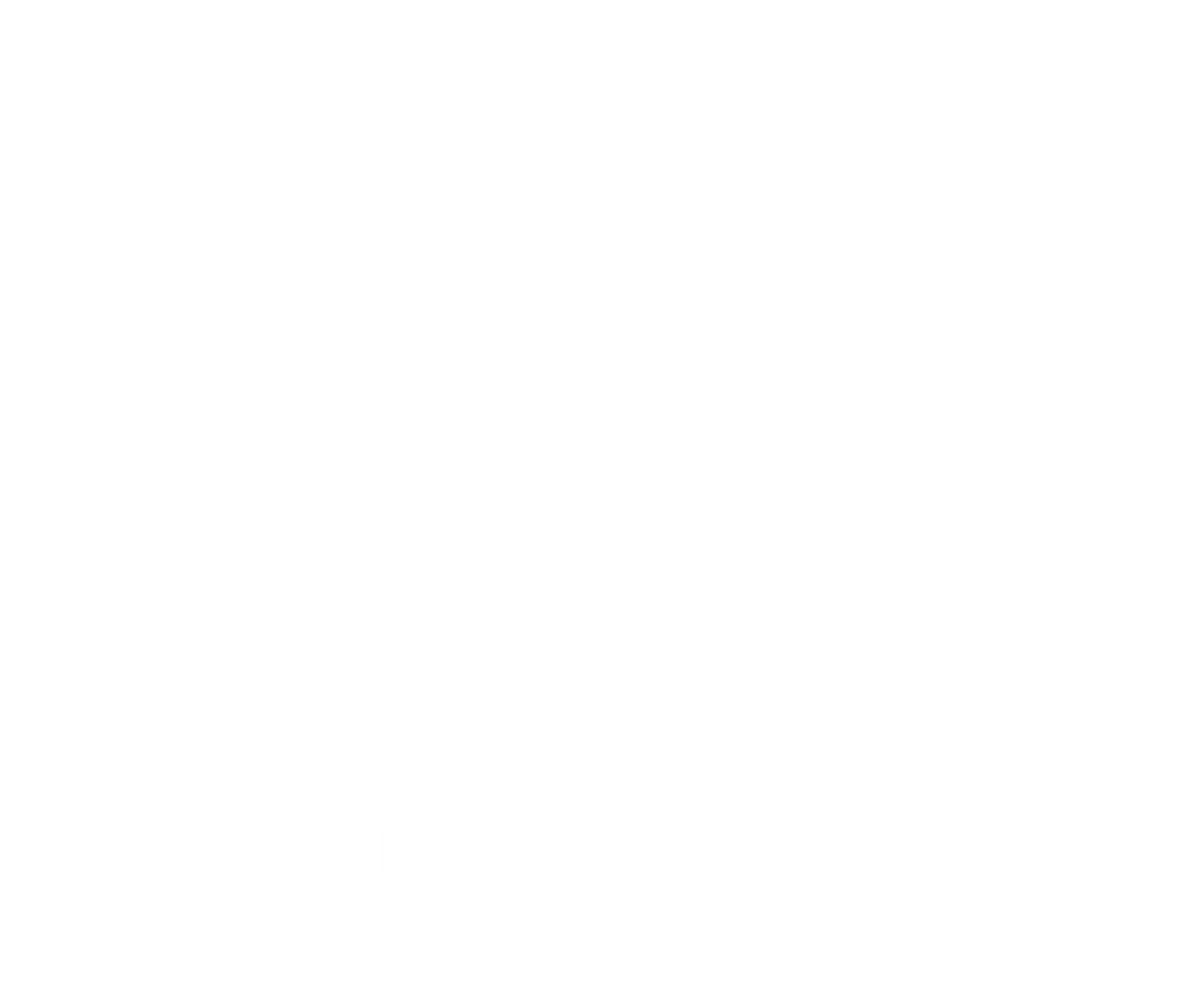 Volax Black Car Logo