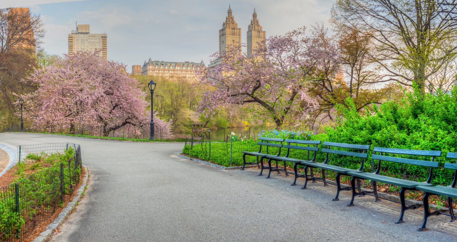 Central Park